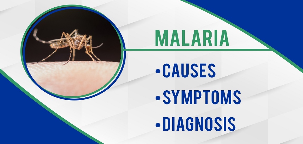 Malaria: Causes, Symptoms, and Diagnosis